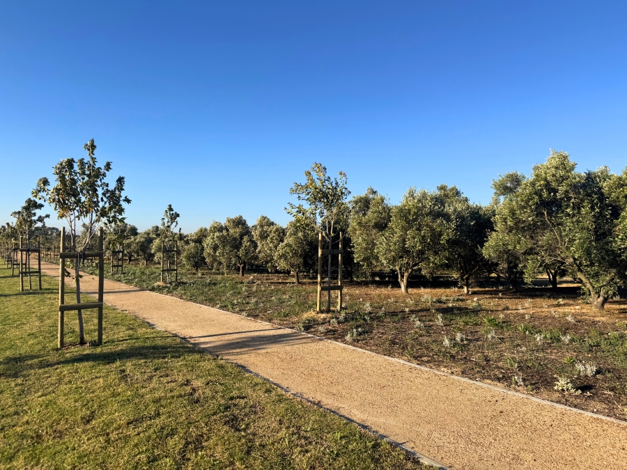 0 Bedroom Property for Sale in Mount Vernon Residential Estate Western Cape